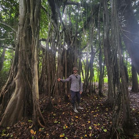 Hospedaje Y Tours Reina Arriera Amazonas Colombia Macedonia Εξωτερικό φωτογραφία