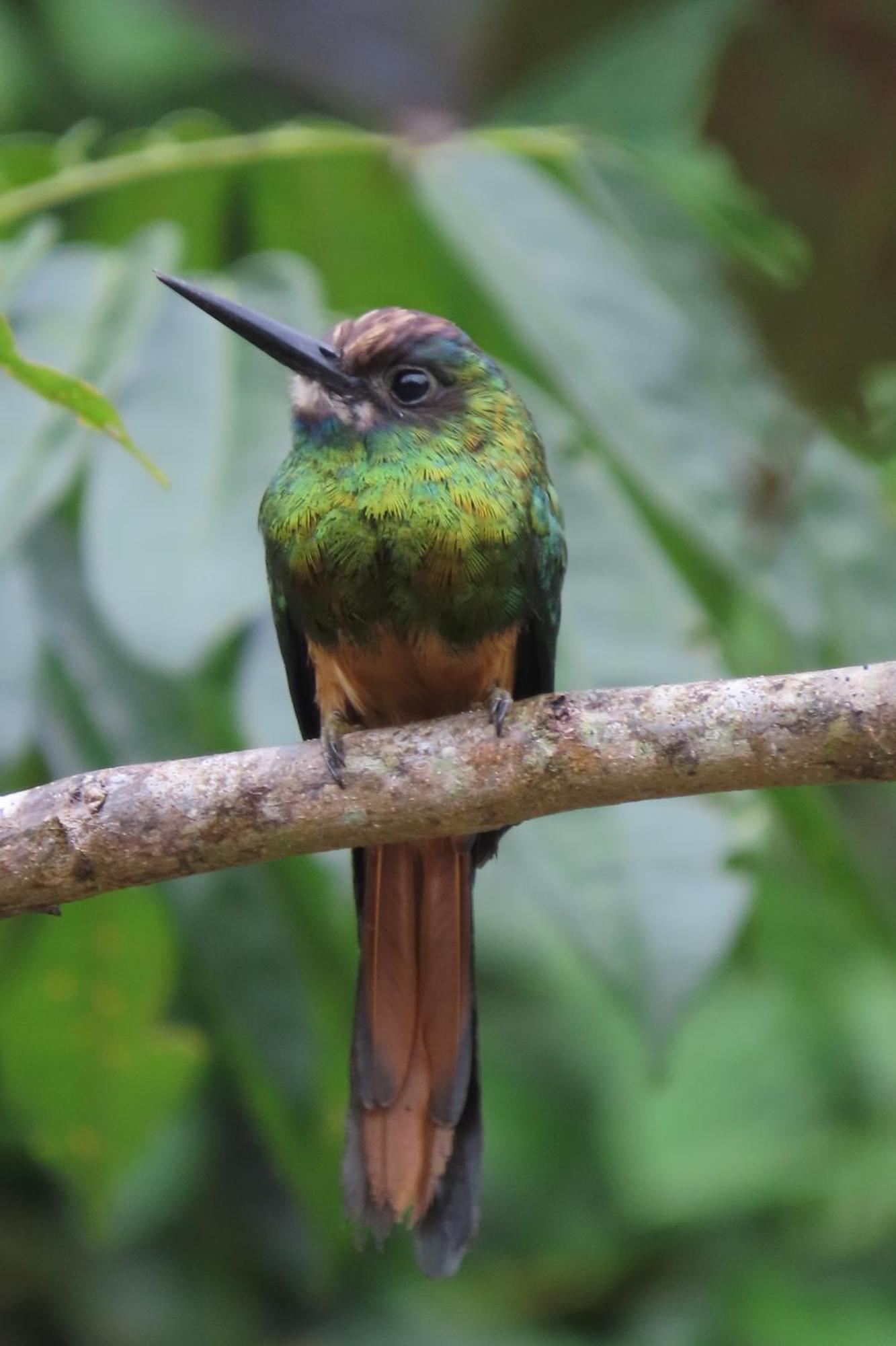 Hospedaje Y Tours Reina Arriera Amazonas Colombia Macedonia Εξωτερικό φωτογραφία
