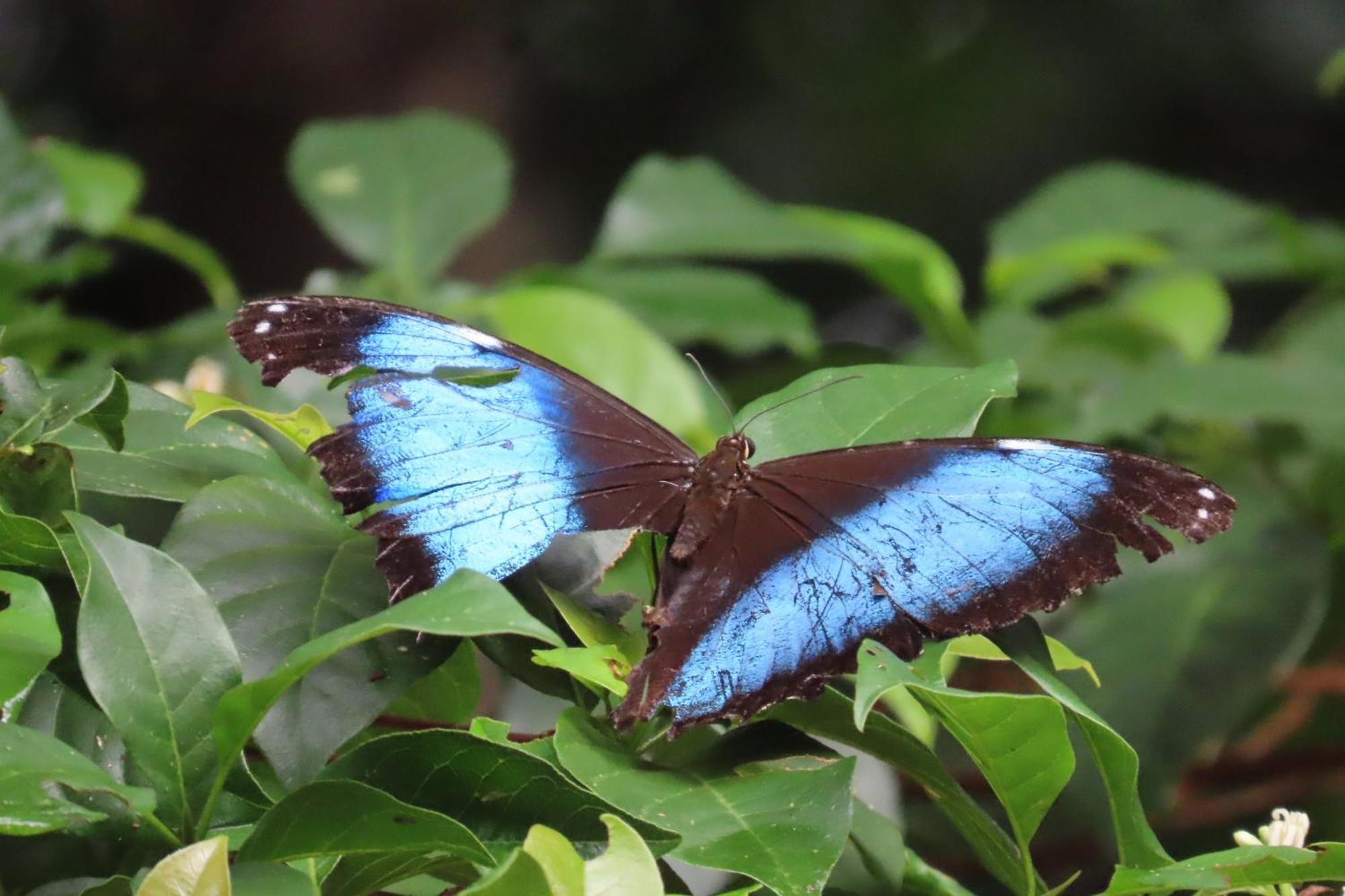 Hospedaje Y Tours Reina Arriera Amazonas Colombia Macedonia Εξωτερικό φωτογραφία
