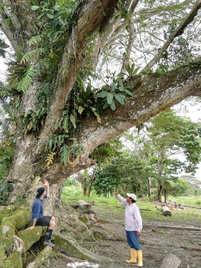 Hospedaje Y Tours Reina Arriera Amazonas Colombia Macedonia Εξωτερικό φωτογραφία